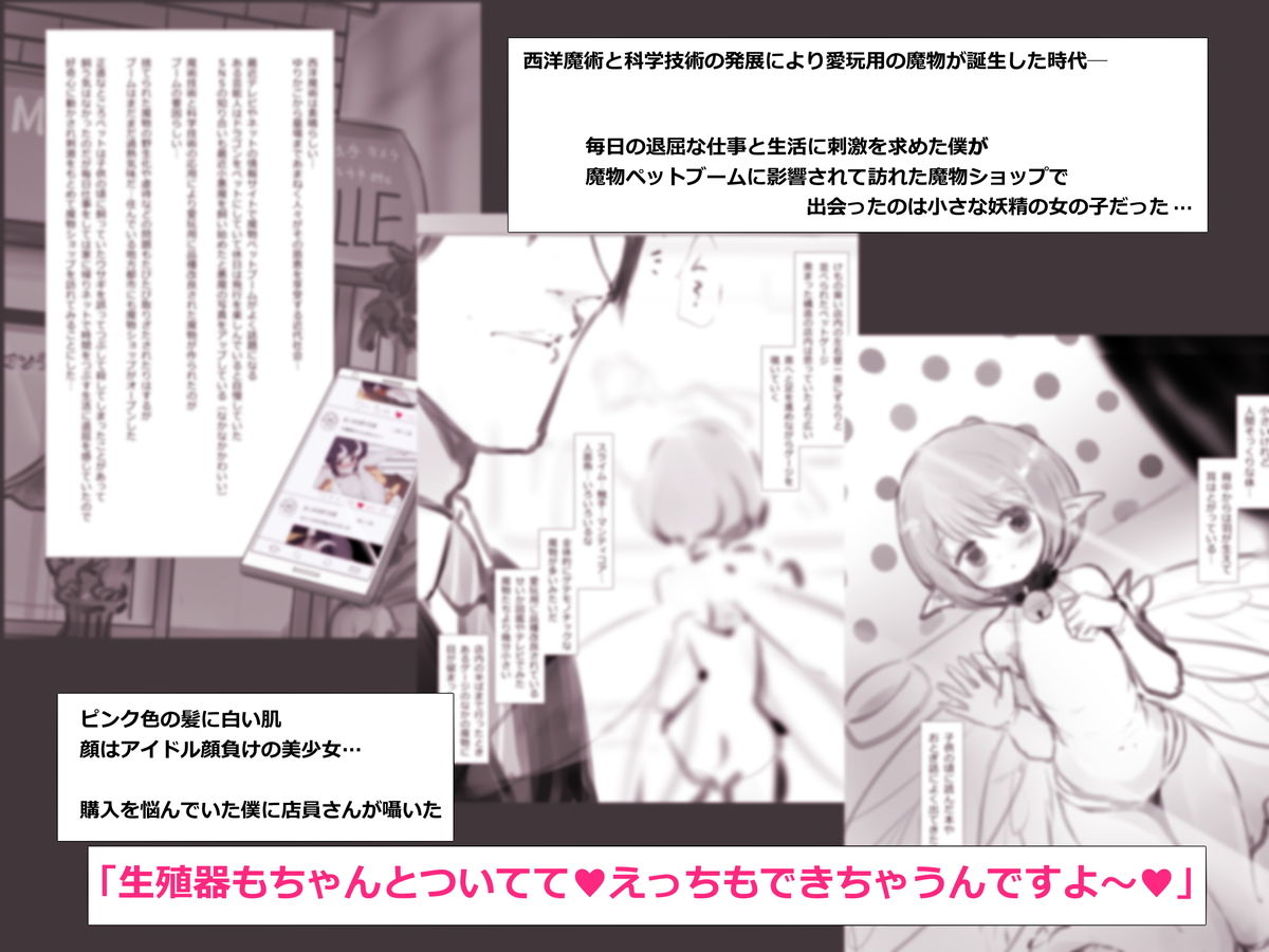 小人図姦 ～ようせいいじり～