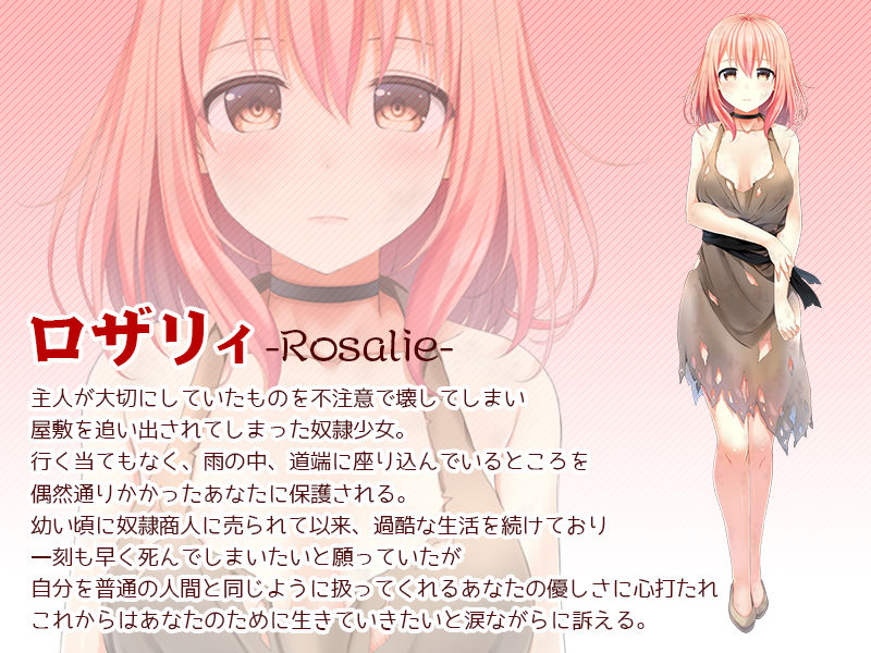 奴隷少女ロザリィ～貧しい絵描きのあなたが捨てられた少女と出会い、一緒に暮らし、やがて結婚するまでの物語～