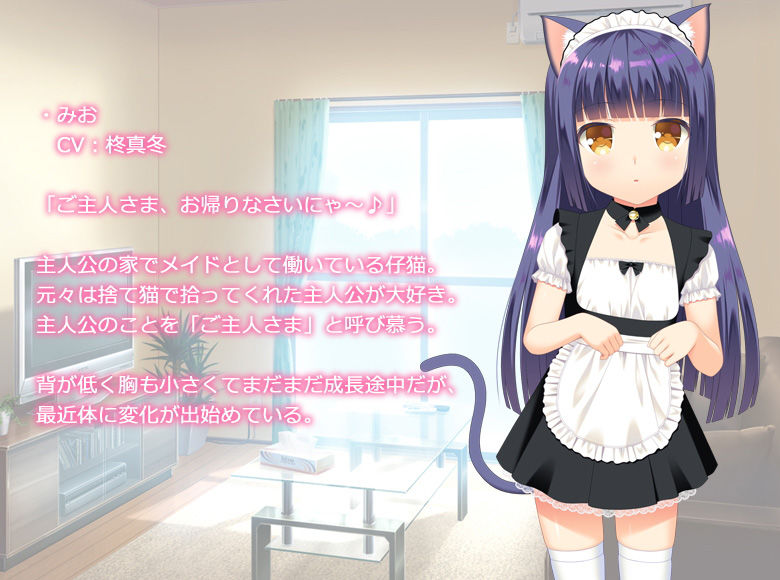 仔猫と家族計画