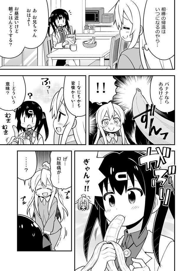 お兄ちゃんはおしまい！特別編