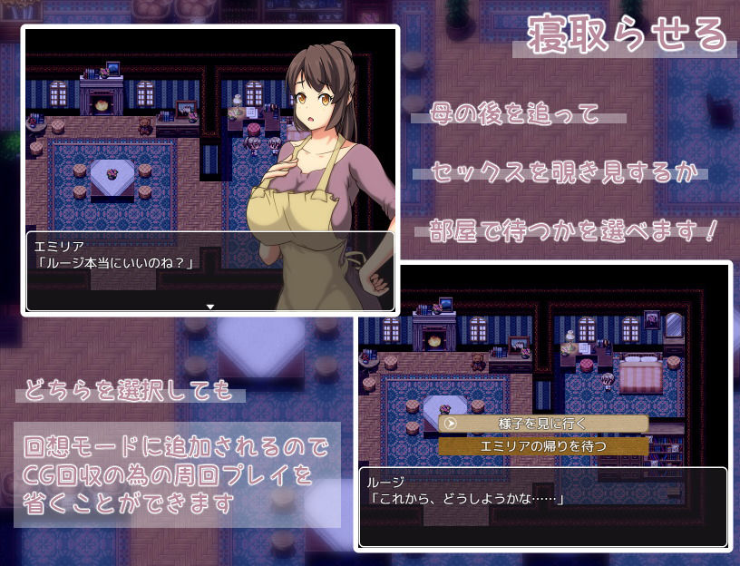 エミリアの宿屋 ～ルージの母親 ネトラセ日誌～