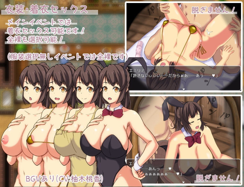 エミリアの宿屋 ～ルージの母親 ネトラセ日誌～