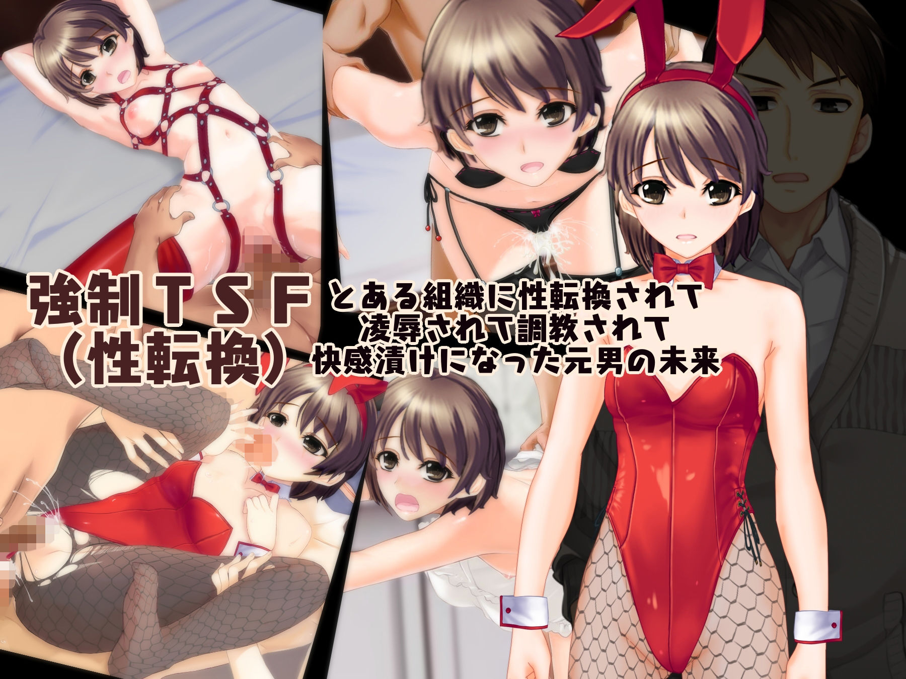 強制TSF（性転換）とある組織に性転換されて陵辱されて調教されて快感漬けになった元男の未来