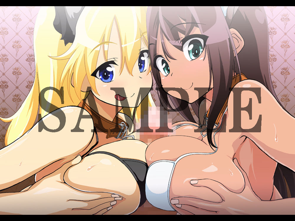 エロス・ギア・アイギス＋updateジニー襲来！ 編