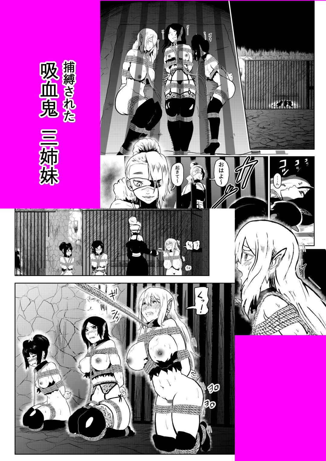 ヴァンパレイド6 ～吸血鬼 三姉妹 捕縛編～