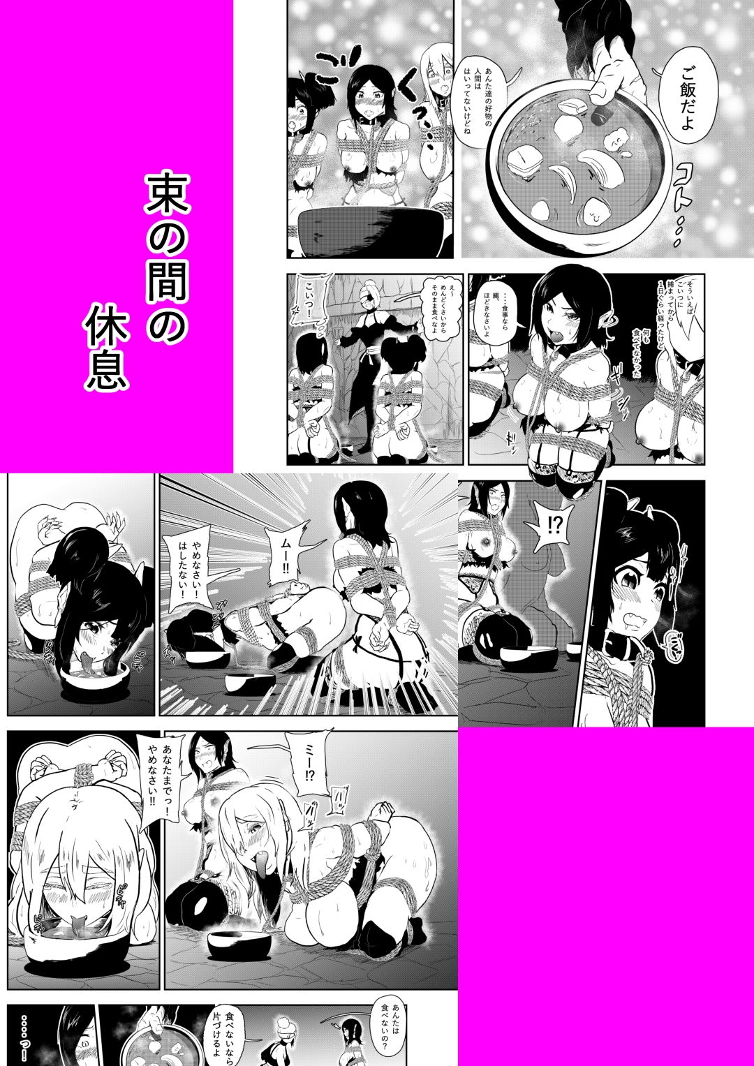 ヴァンパレイド6 ～吸血鬼 三姉妹 捕縛編～