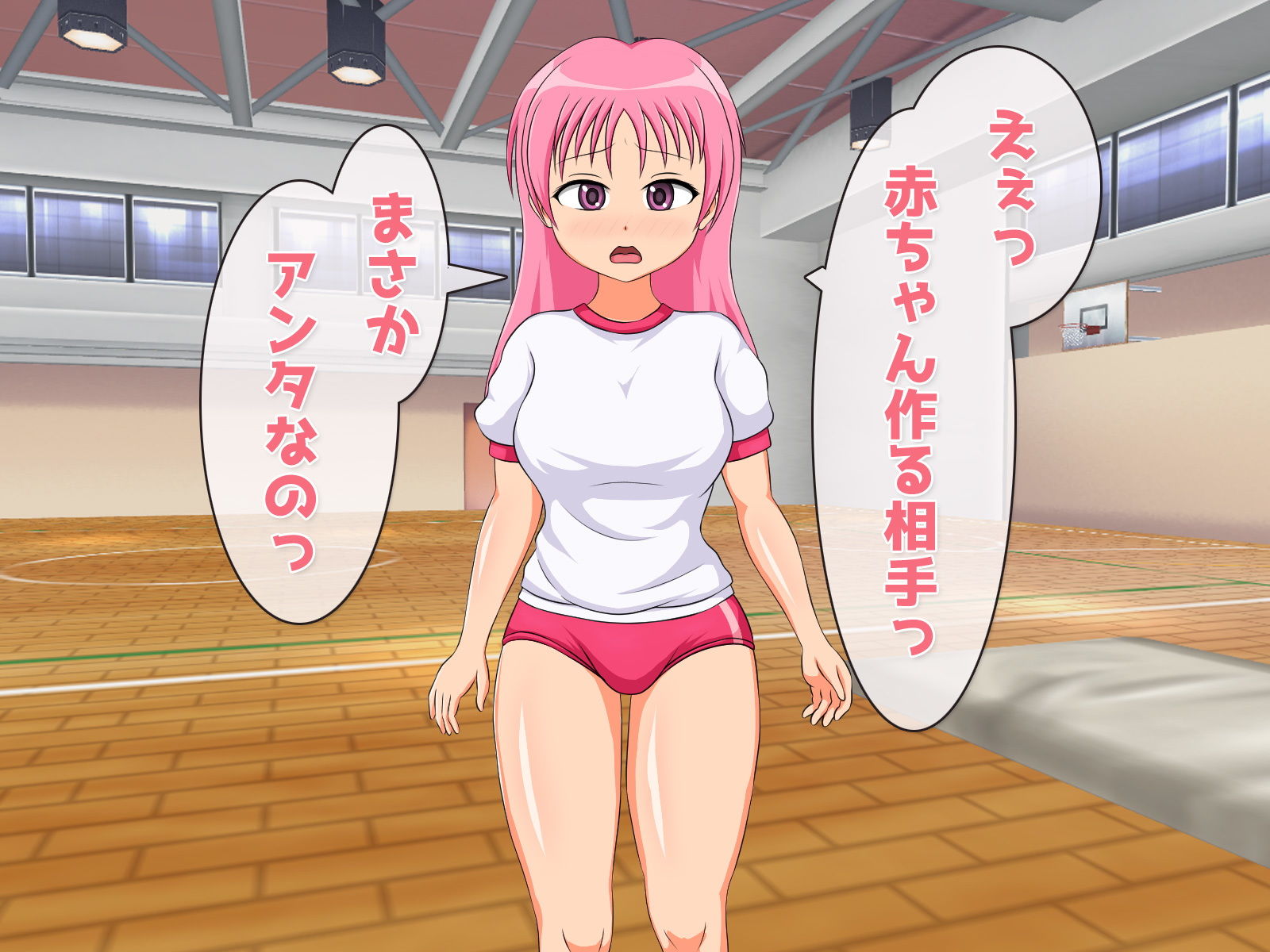 孕ませ少女～赤ちゃんを作る体育授業