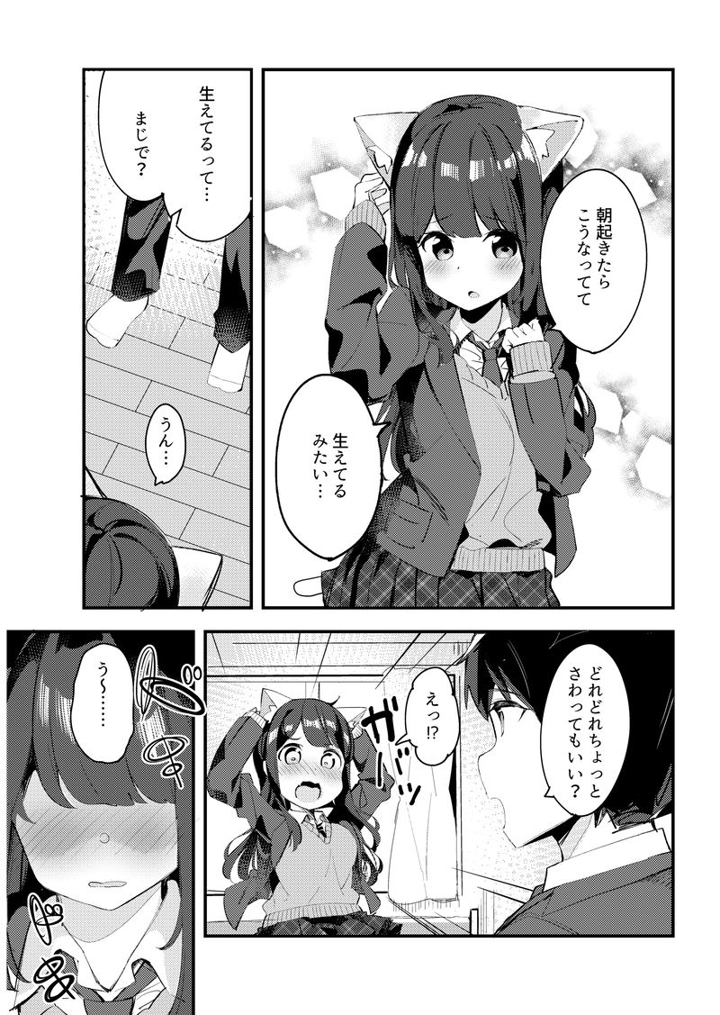 妹が猫になっていました。