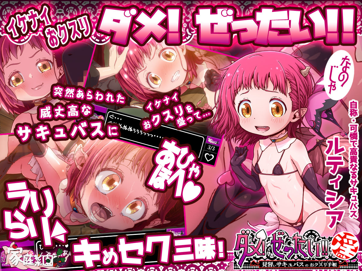 ダメ！ぜったい！！ 淫 ～見習いサキュバスのおクスリ手帳～