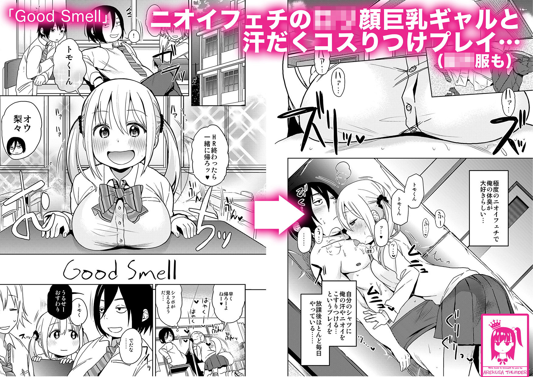 シコシコスケベアーカイブス ワニの書