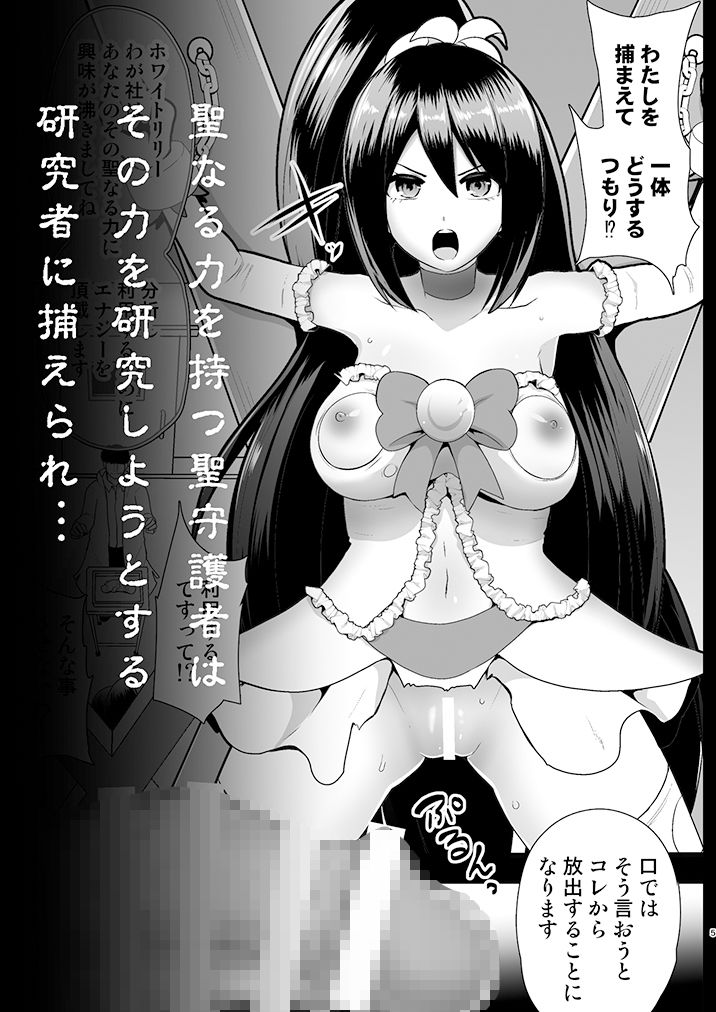 聖守護者 ホワイトリリーの失踪