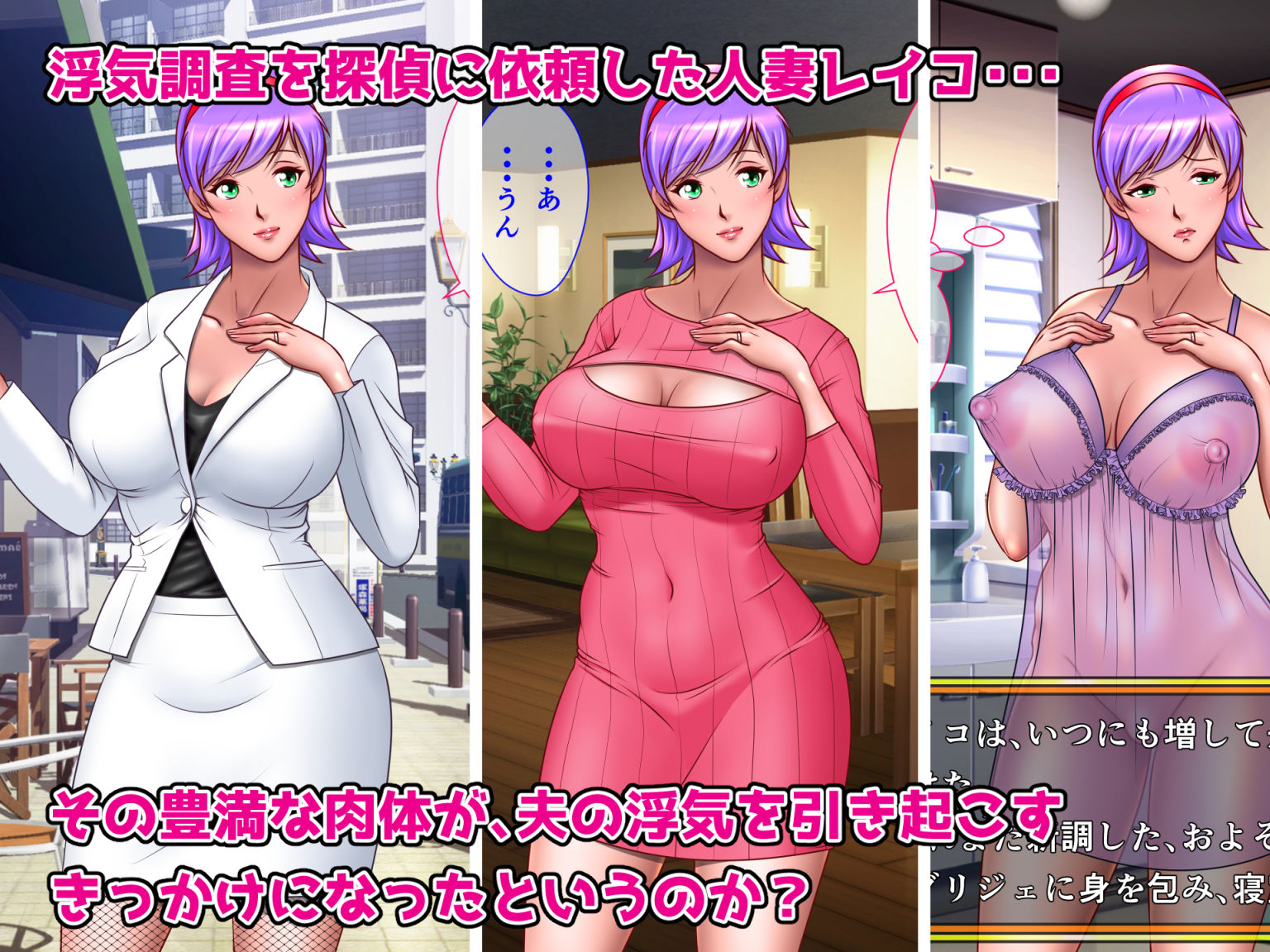 ドメスティック案件1:白河レイコの調査ファイル