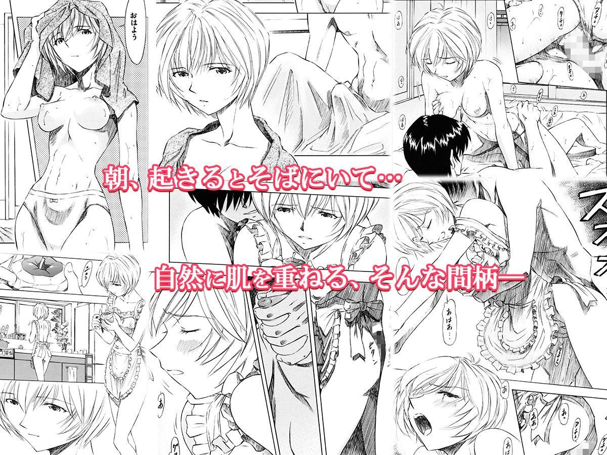 綾波・朝昼夜・深