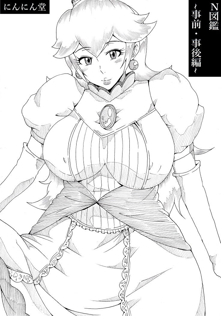 N図鑑～事前・事後編～