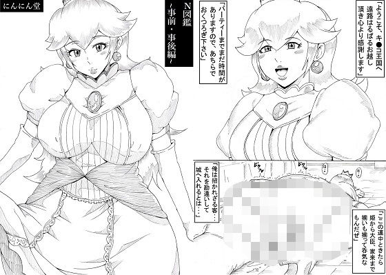 N図鑑～事前・事後編～