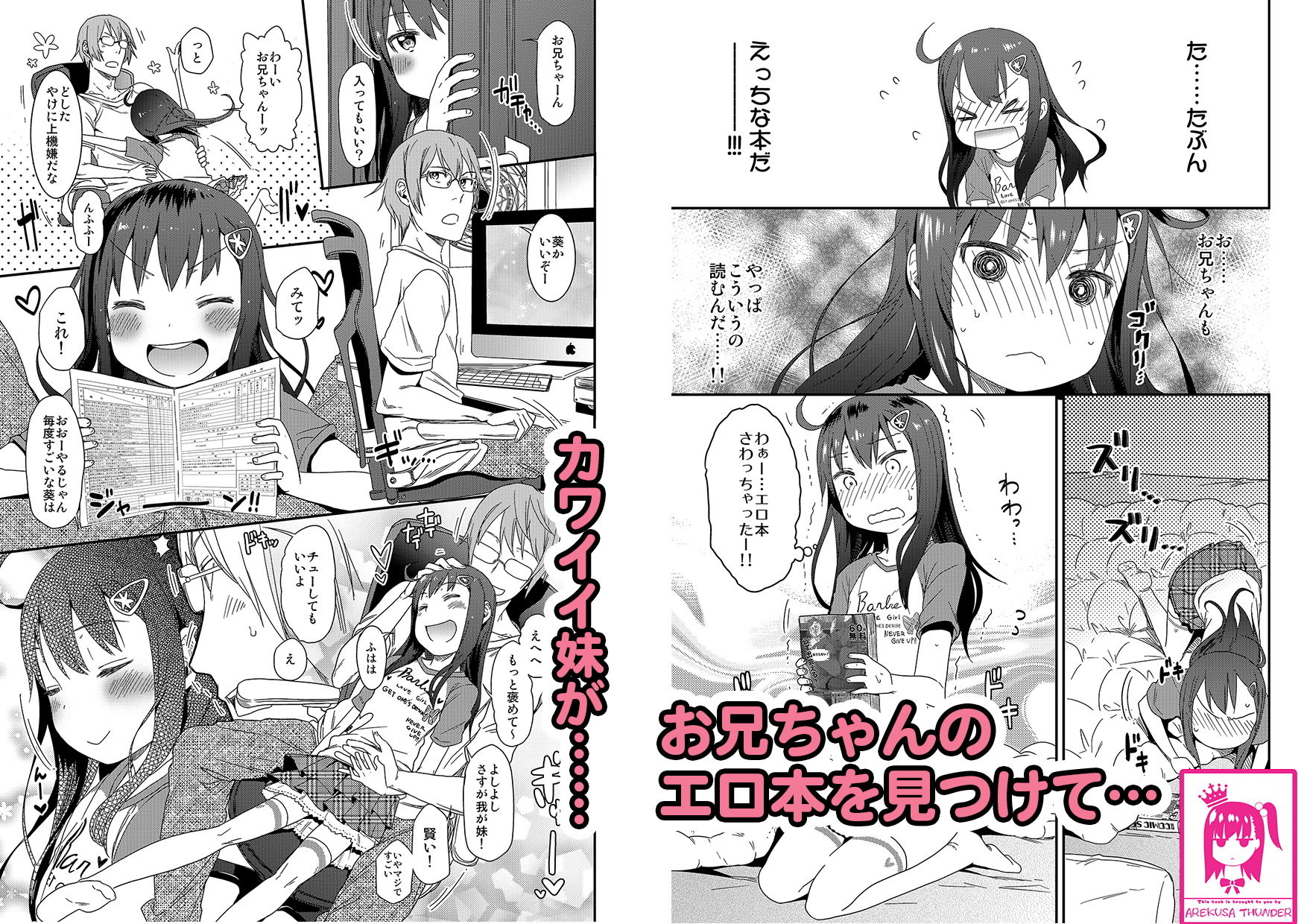 妹の様子がおかしい件について～妹と夏休みの性教育実習～