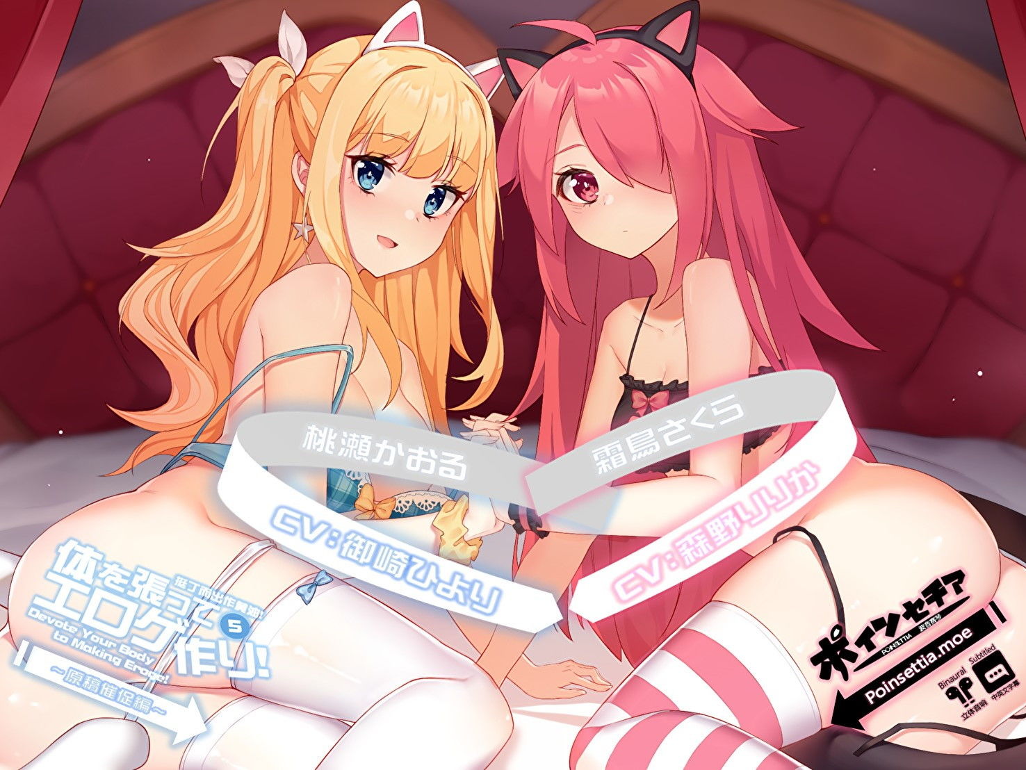 体を張ってエロゲ作り！5 ～原稿催促編～