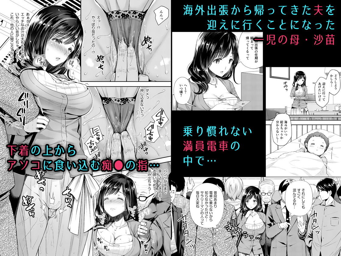 恥辱の痴○電車3～人妻車内強●授乳～