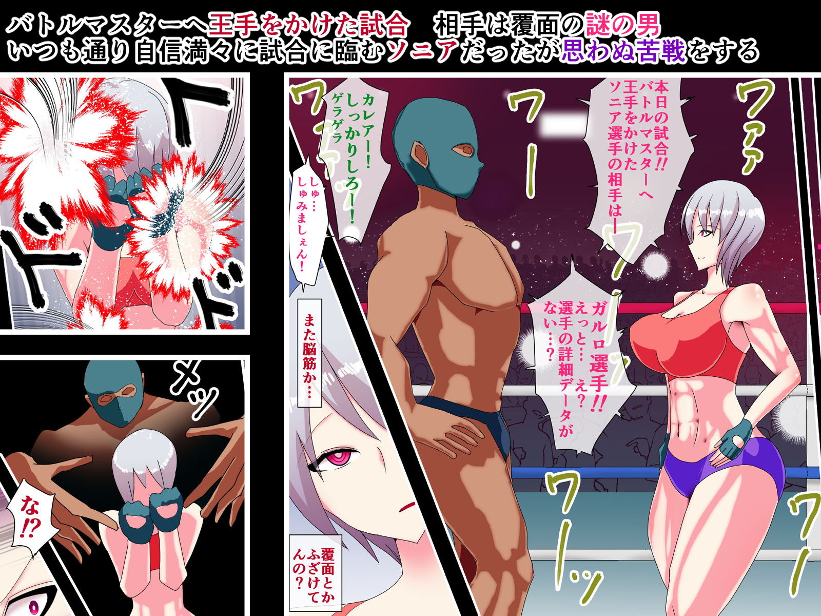 無敗の女王 完堕ち～リング上のプライド崩壊公開レイプ～