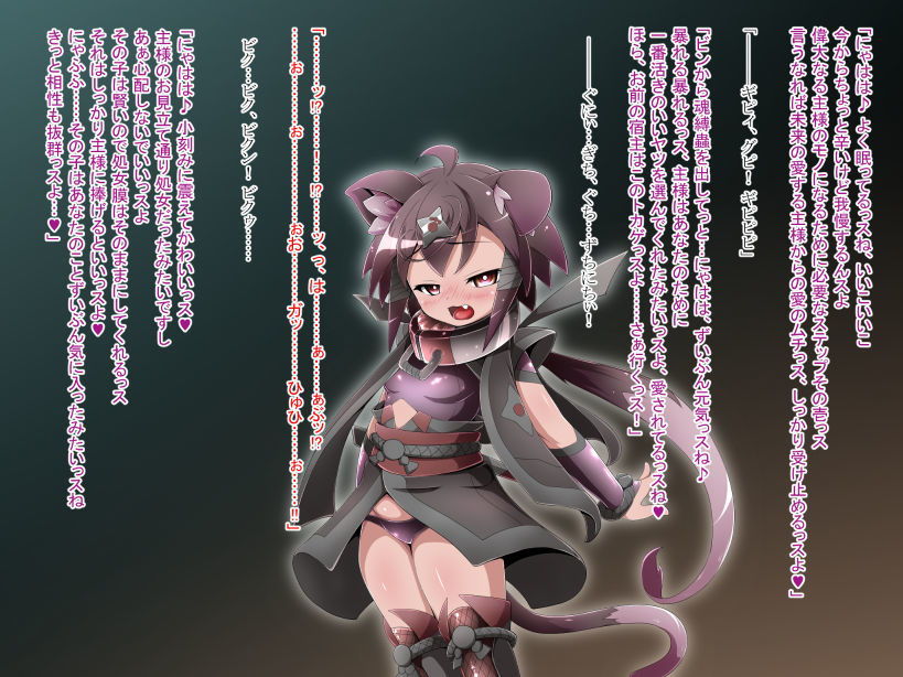 竜人国陥落～竜姫魂縛洗脳の謀略に堕つ～