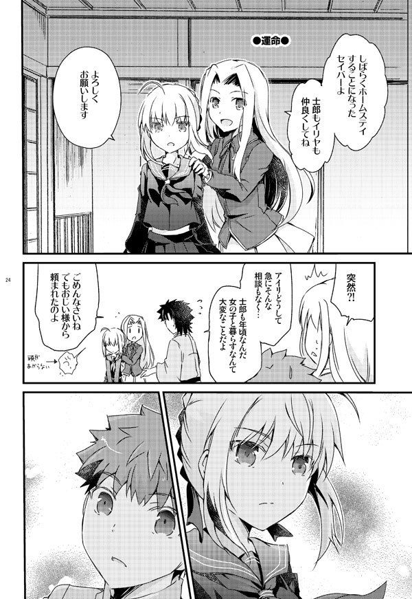 イリヤお姉ちゃんは弟が好きなので