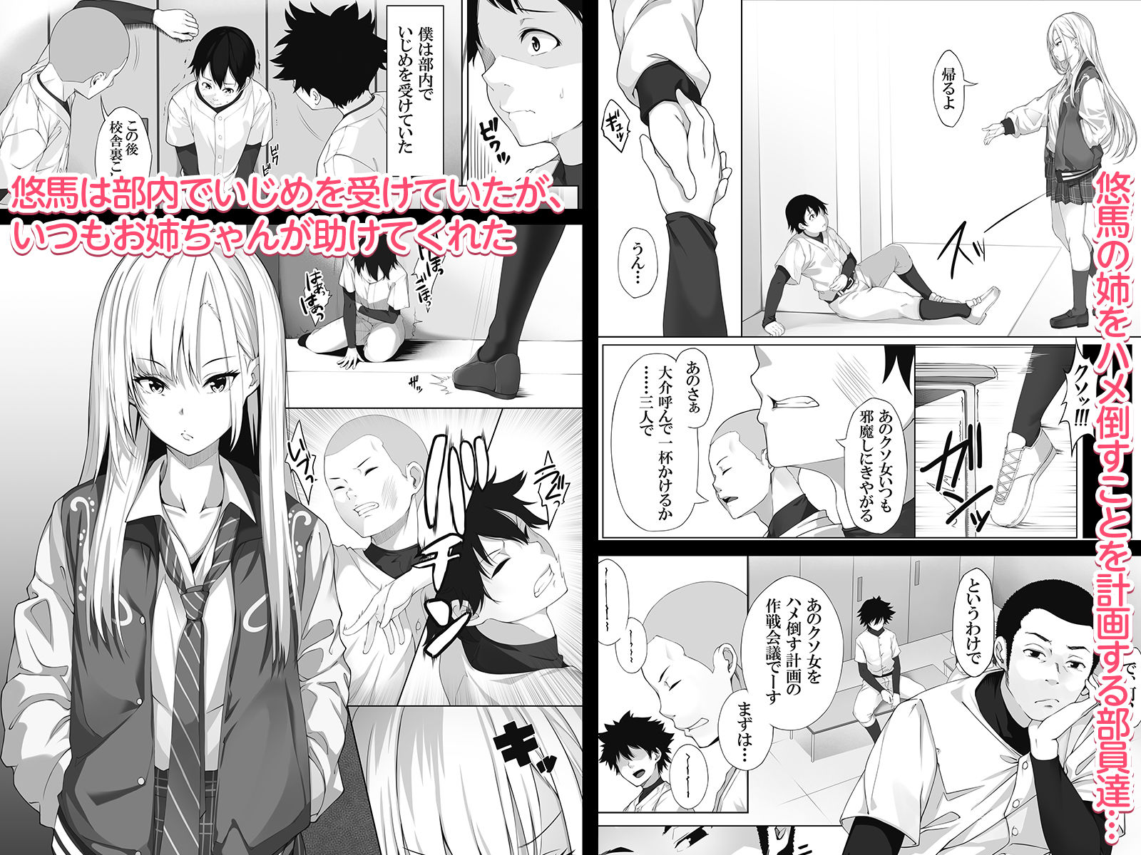 少し怖いけど大好きなお姉ちゃんが僕の為に犯された日の話