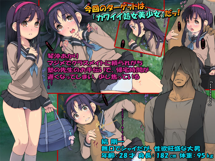 たんたん姦 ～美少女レイプ、待ち伏せて粛々と～