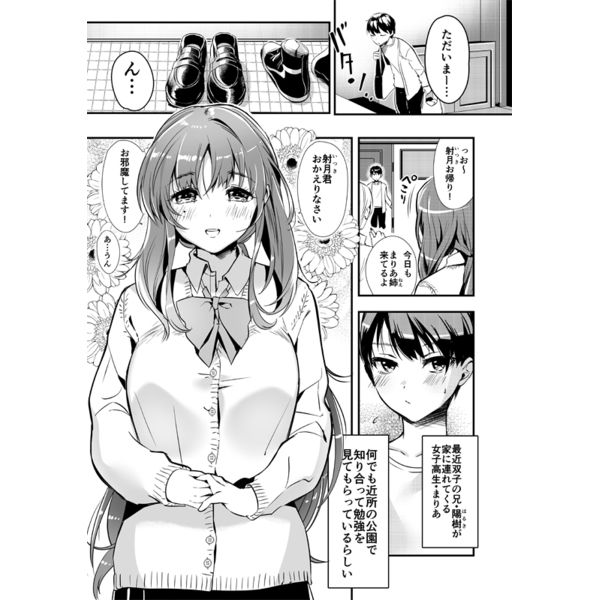 【特典付】お姉ちゃん、君達の事しか愛せない1～4シリーズまとめ読みパック