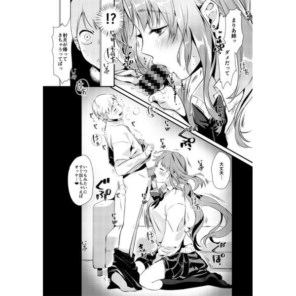 【特典付】お姉ちゃん、君達の事しか愛せない1～4シリーズまとめ読みパック