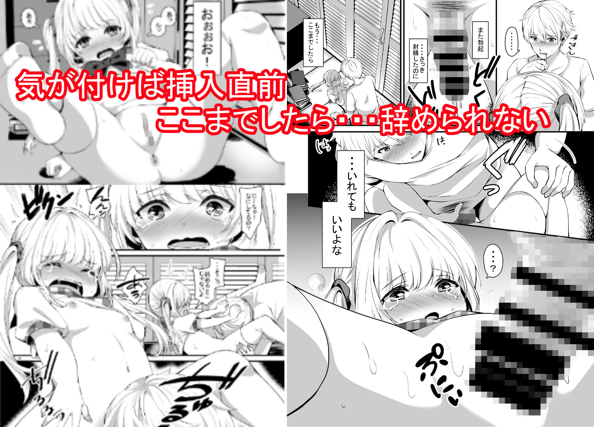 おませな妹に中出し教えてやる