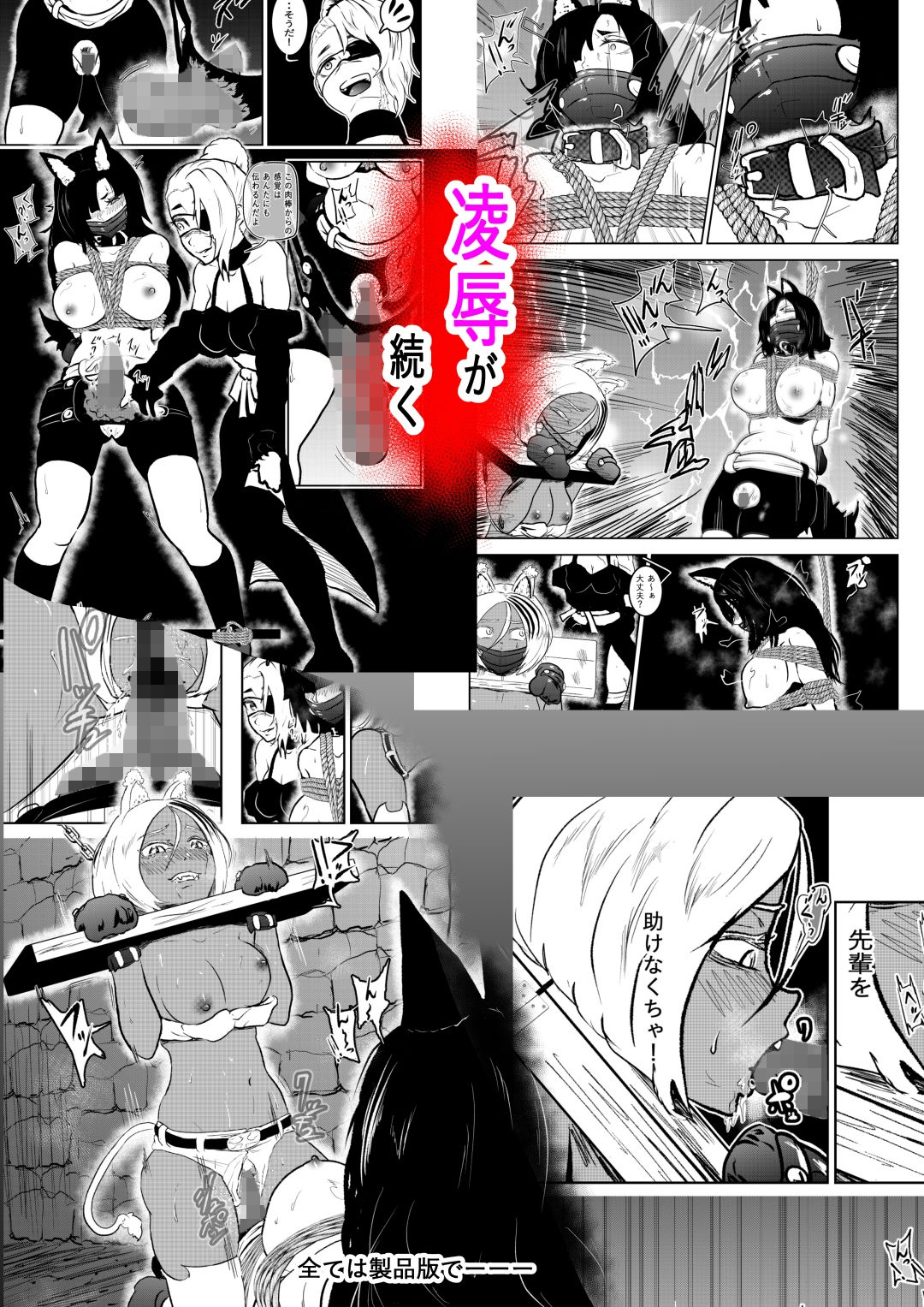 ヴァンパレイド8 ～白猫 黒狼 拘束編～