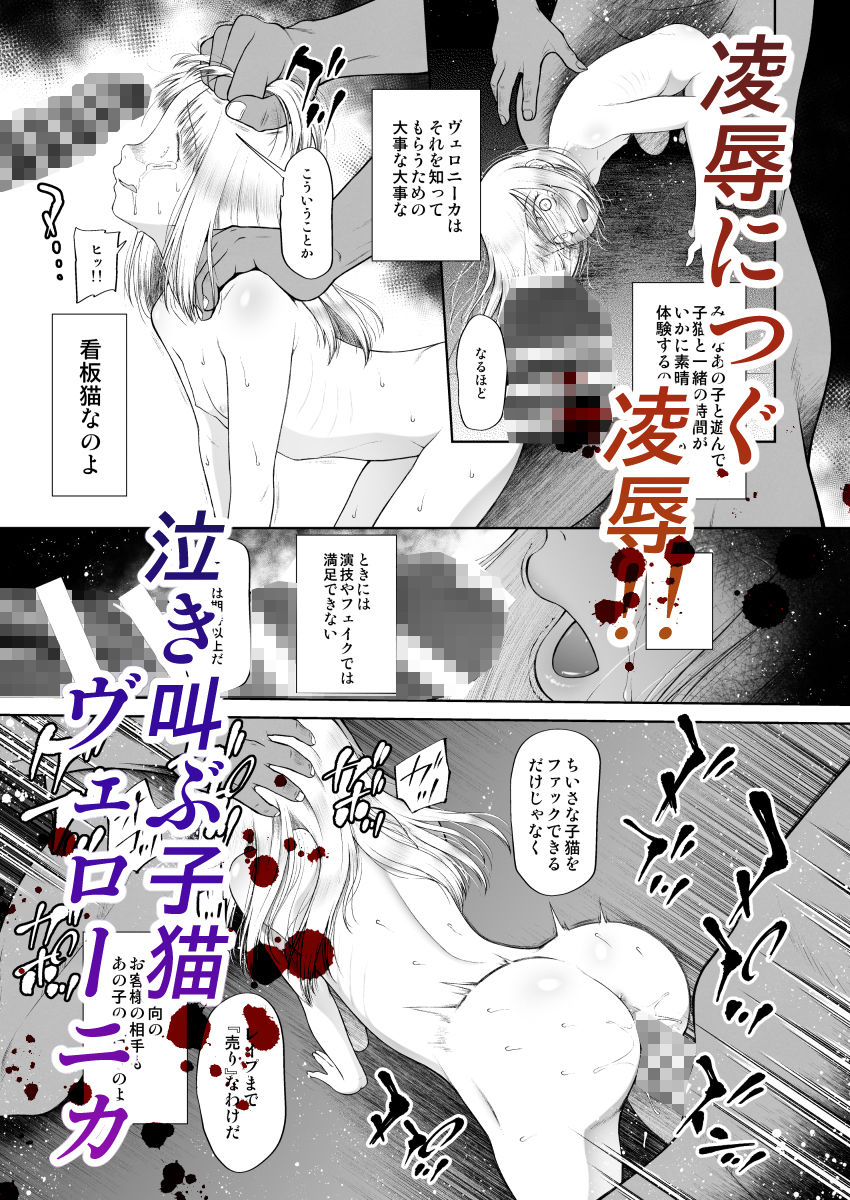 ペットショップの子猫