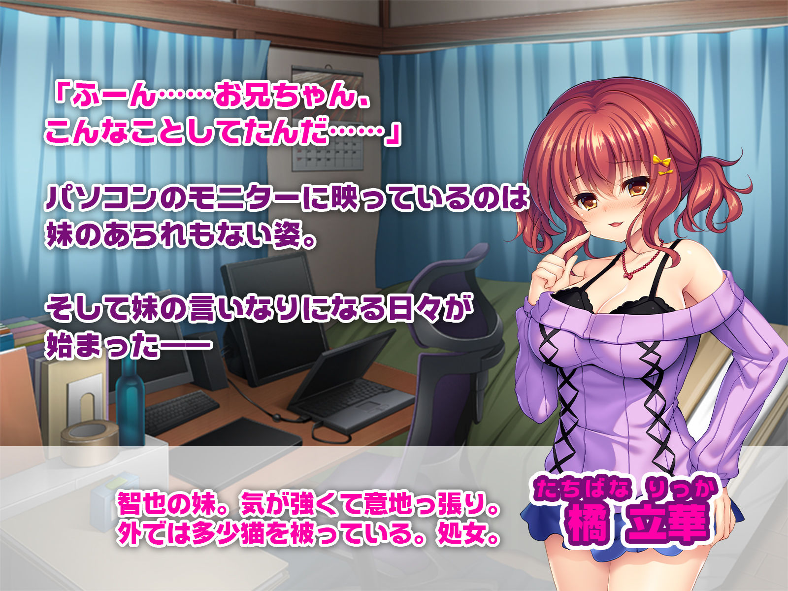 Sなツンデレ巨乳妹とMな僕のアブナイ関係