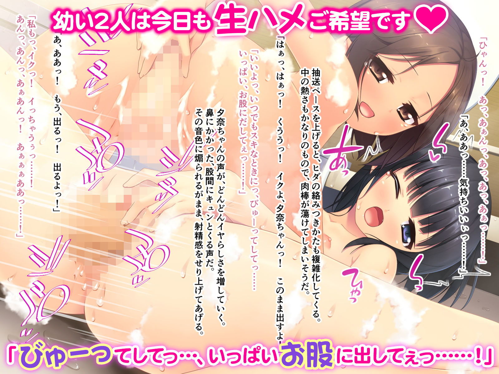 ちっぱいパラダイス☆ ～双子少女のアソコは甘い誘惑～