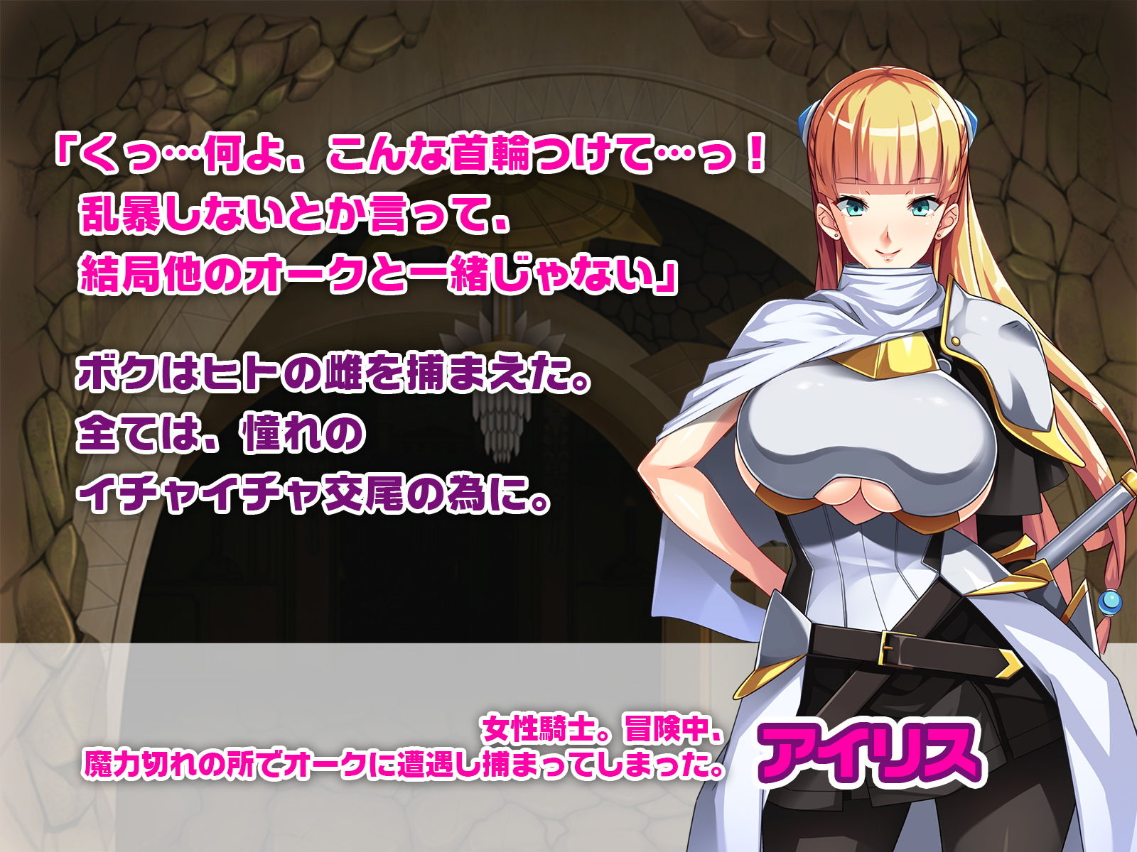 目指せラブラブ種付けセックス！オークと女騎士のLOVEステップ