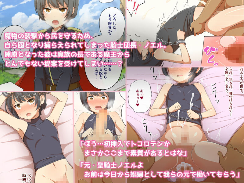 メスに堕とされた誇り―聖騎士ノエルの受難―