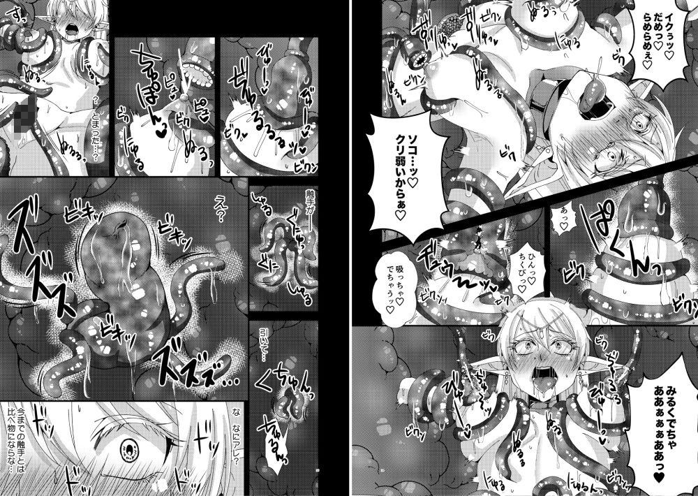 女帝エルフセレーナ～エチコロンカ帝国の没落～