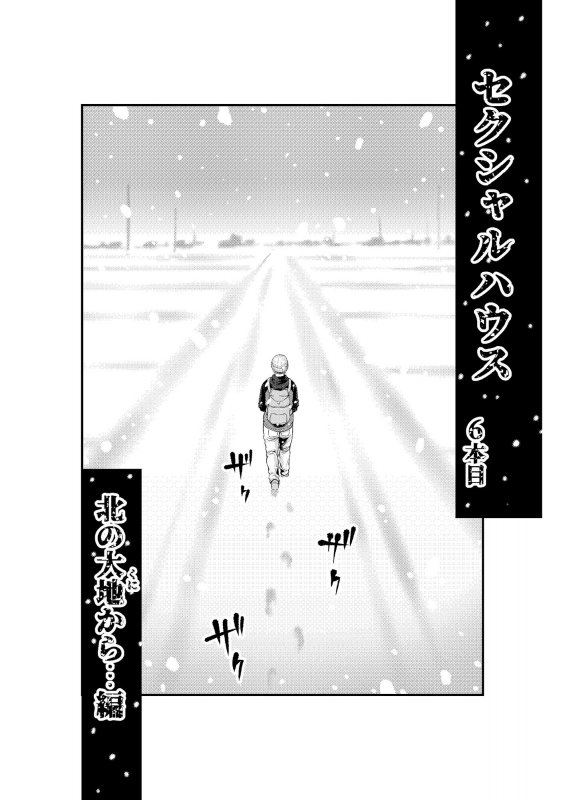 セクシャルハウス2巻