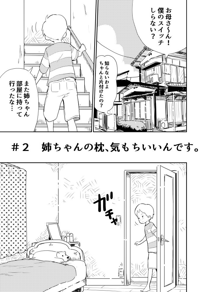 ショタコンの姉ちゃんは好きですか？