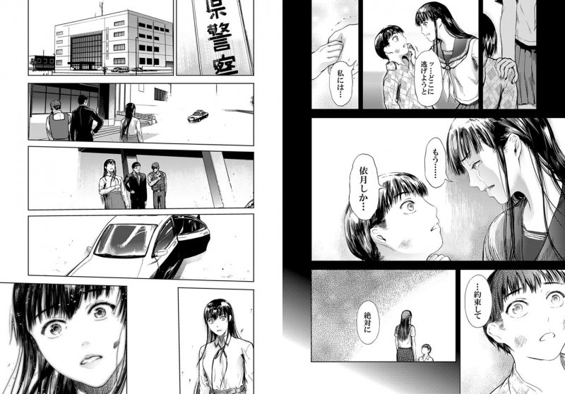 仮面のカーネーション最終回 ＊＊＊二つの仮面