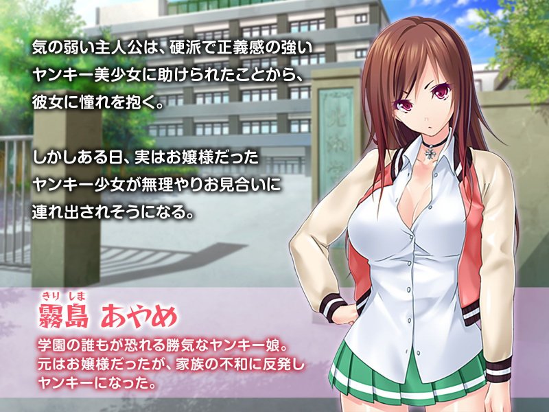 ボインなツンデレヤンキーちゃんとイチャイチャ子作りライフ ～ア●ルもまんこも孕ませて～