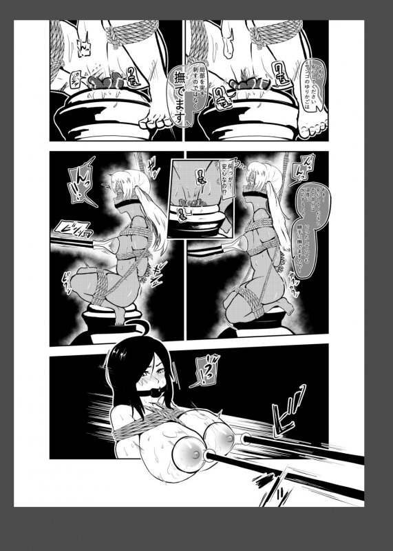 えろ拷問日誌IV