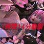 監禁少女・完全版～少女と汁男～