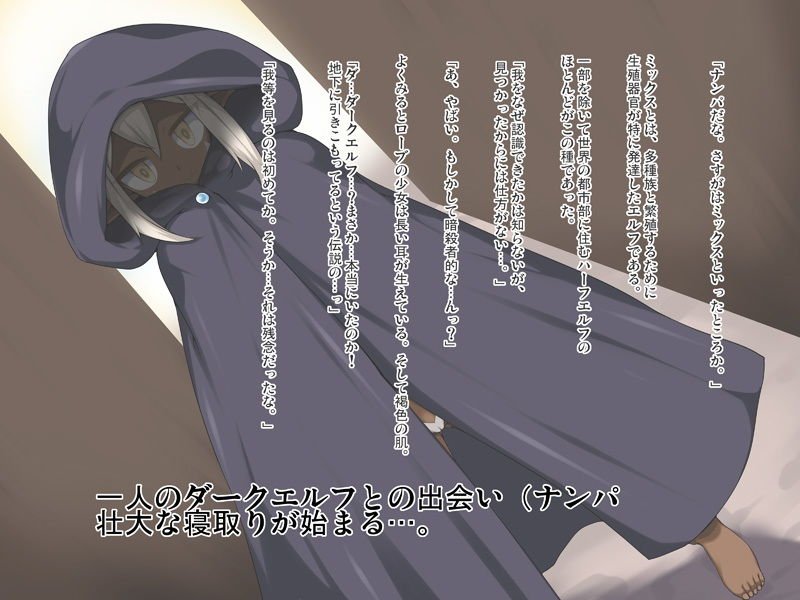 人妻ダークエルフ攻略物語