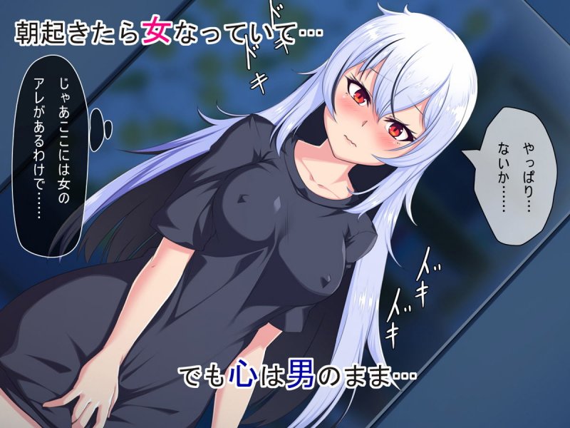 俺が女に染まるまで