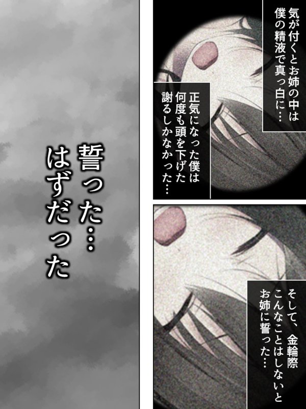 実姉レイプ！背徳感が俺の股間を刺激して…… 上