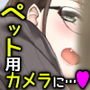 ペット見守りカメラに姉と弟のセックスが映っていた。