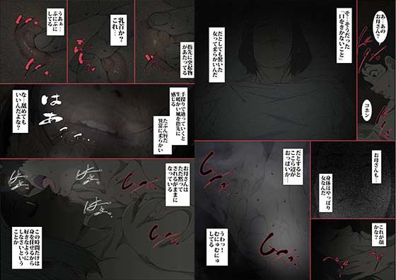 きっつい性格の教育ママが、受験期のみ暗闇の中のみという条件で息子のセックス代理妻を務める話。