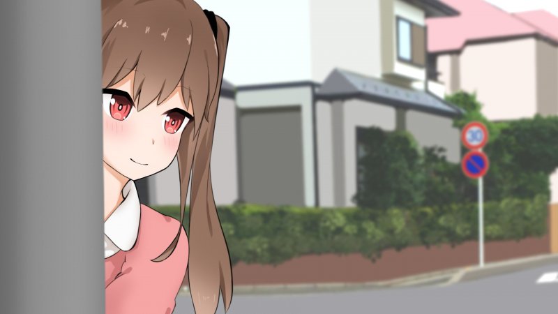 近所の姉がHで困ります