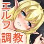 エルフ娼婦化調教録